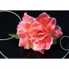 Bruiloft decoratie auto koraal rozen DEK1062