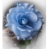 Blauwe en witte rozen rotan harten Trouwauto decoratie