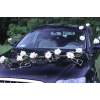 Trouwdecoratie voor auto LEMON rozen en hart DEK1013