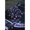 Trouwauto versiering violet-blauw madeliefjes