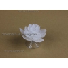 Witte rozen met zuignappen voor trouwauto decoratie