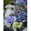 Trouwauto versiering paarse en blauw bloemen met decoratie van rotan