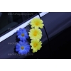 Trouwauto versiering geel-blauw madeliefjes DEK1018
