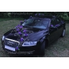 Auto versieren violet rozen en hart DEK1023