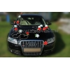 Decoratie kit voor bruiloft auto - rood-wit Roses DEK1705