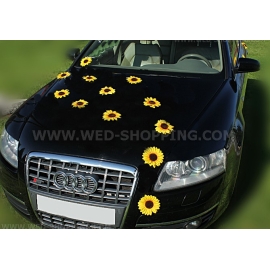 Znnebloemen met zuignappen Bruiloft decoratie auto