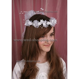 Communie Diadeem