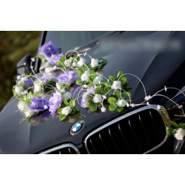 Lila Wit Bruiloftsauto Versiering Set Vira
