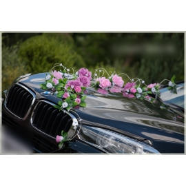 Autodecoratie voor bruiloft BMW Auti Mercedes