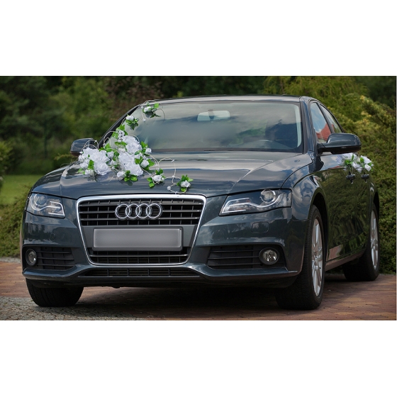 Decoratie set voor Auto Bruiloft - Patricia