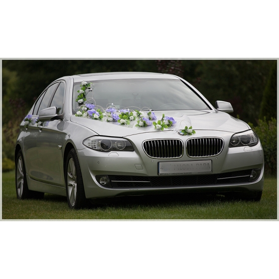 Lila Wit Bruiloftsauto Versiering Set Vira