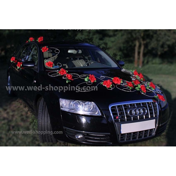 Versiering voor de auto DEK1075