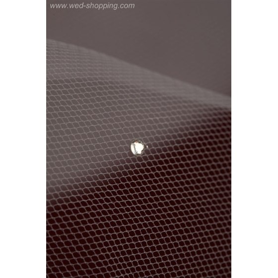 steentjes Swarovski